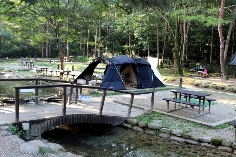 %EA%BE%B8%EB%AF%B8%EA%B8%B0%EA%BE%B8%EB%AF%B8%EA%B8%B0IMG_6192.JPG?type=w966