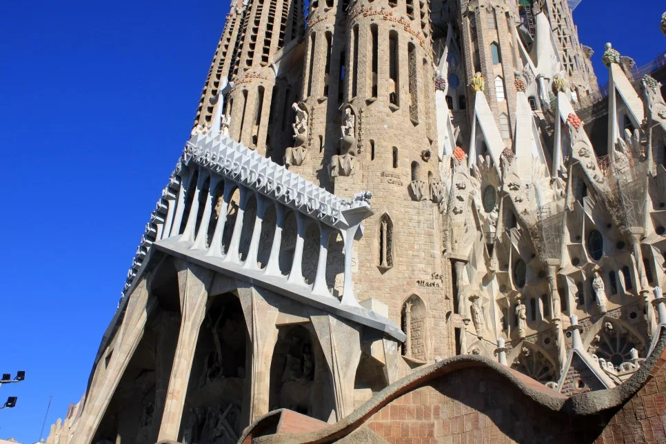 %EA%BE%B8%EB%AF%B8%EA%B8%B0IMG_7166.JPG?type=w966