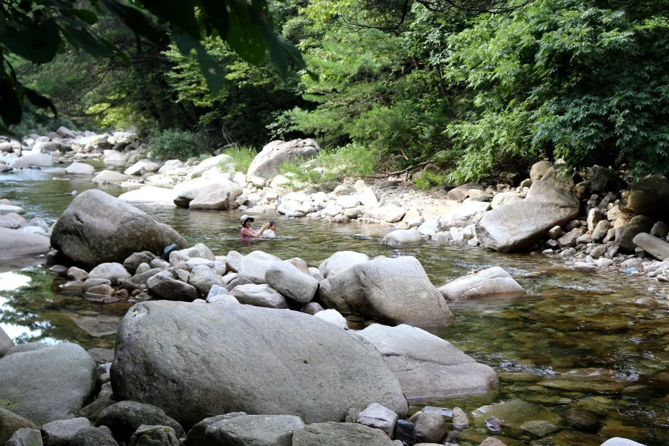 %EA%BE%B8%EB%AF%B8%EA%B8%B0IMG_6110.JPG?type=w966