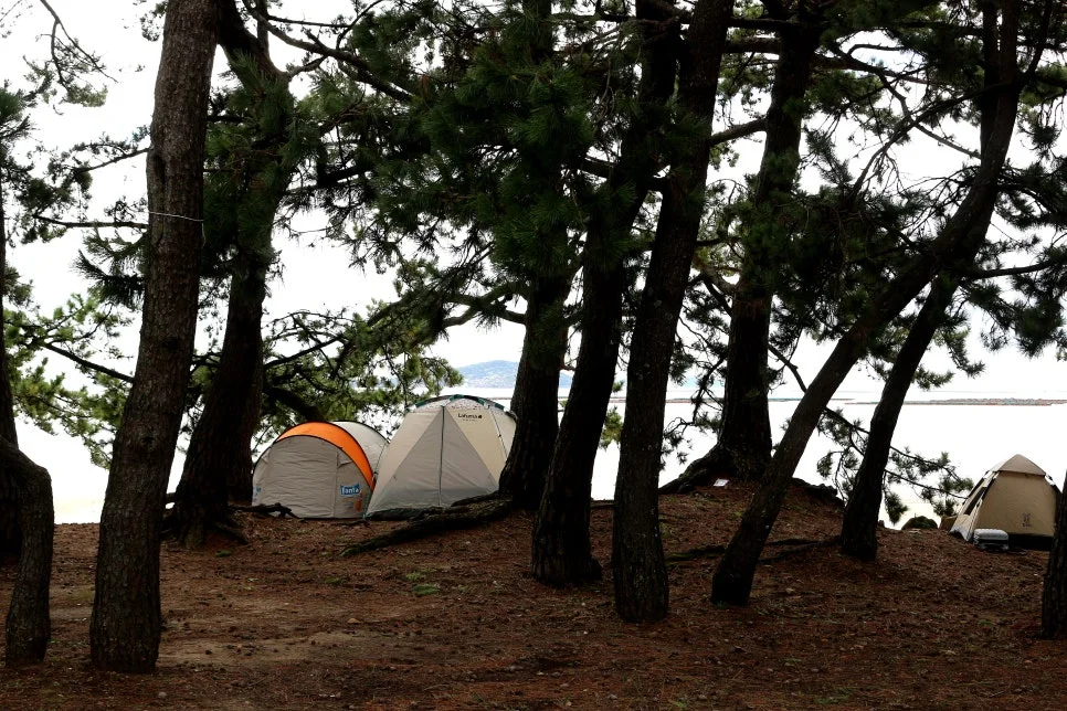 %EA%BE%B8%EB%AF%B8%EA%B8%B0%EA%BE%B8%EB%AF%B8%EA%B8%B0IMG_6472.JPG?type=w966