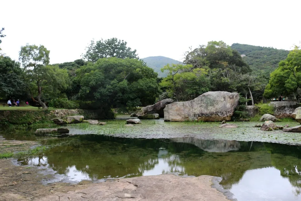 %EA%BE%B8%EB%AF%B8%EA%B8%B0%EA%BE%B8%EB%AF%B8%EA%B8%B0IMG_6620.JPG?type=w966