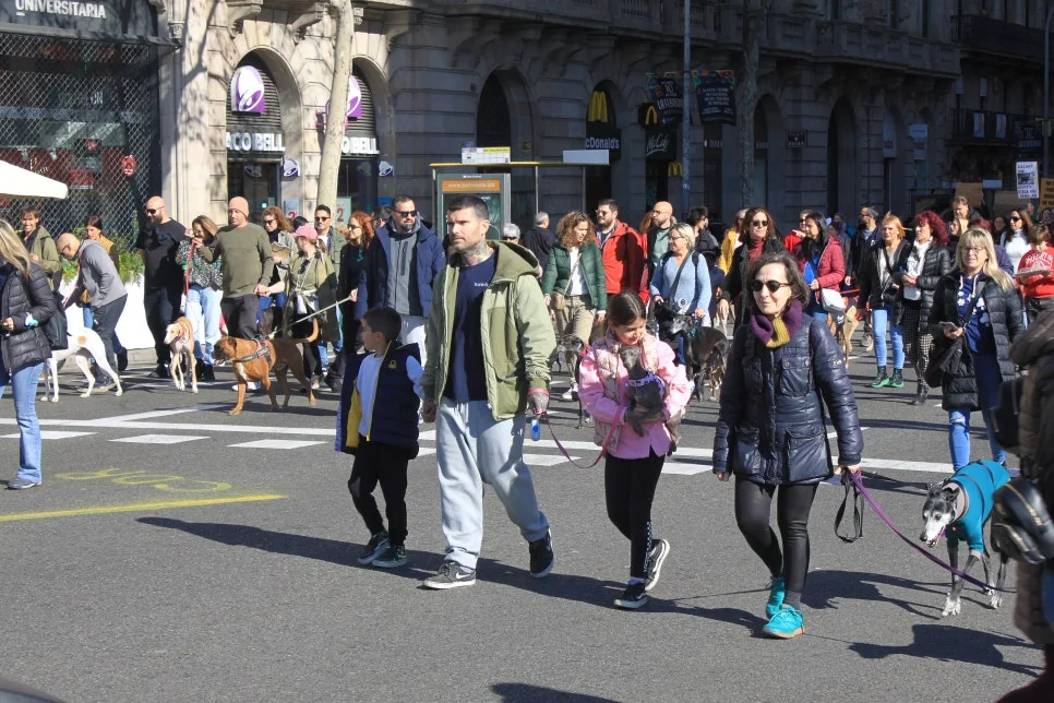 %EA%BE%B8%EB%AF%B8%EA%B8%B0IMG_7254.JPG?type=w966