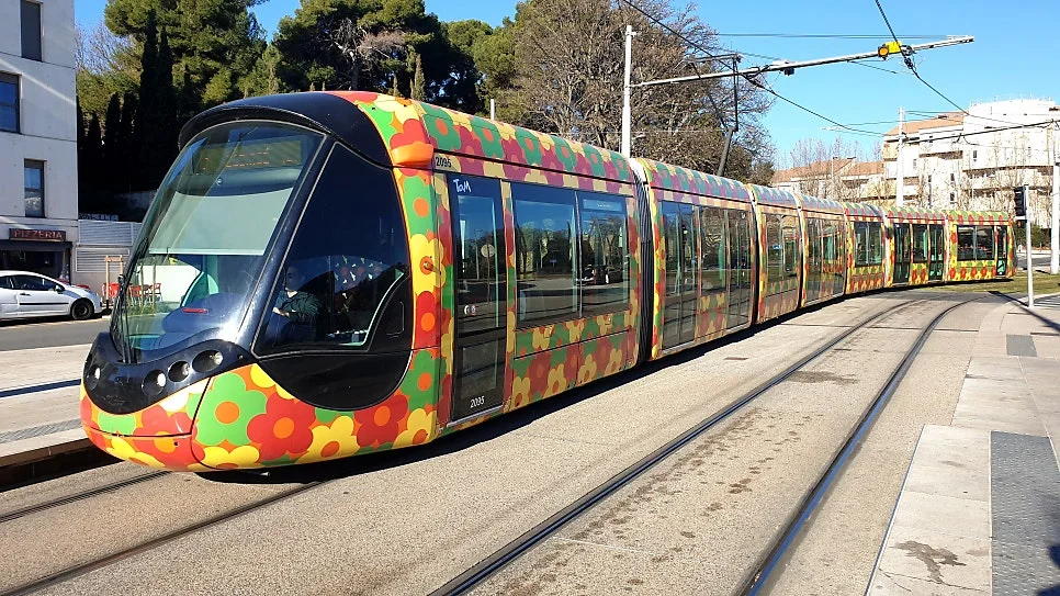 20230203_103124%EC%88%98%EC%A0%95.jpg?type=w966