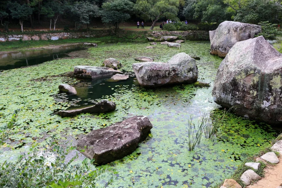 %EA%BE%B8%EB%AF%B8%EA%B8%B0%EA%BE%B8%EB%AF%B8%EA%B8%B0IMG_6599.JPG?type=w966