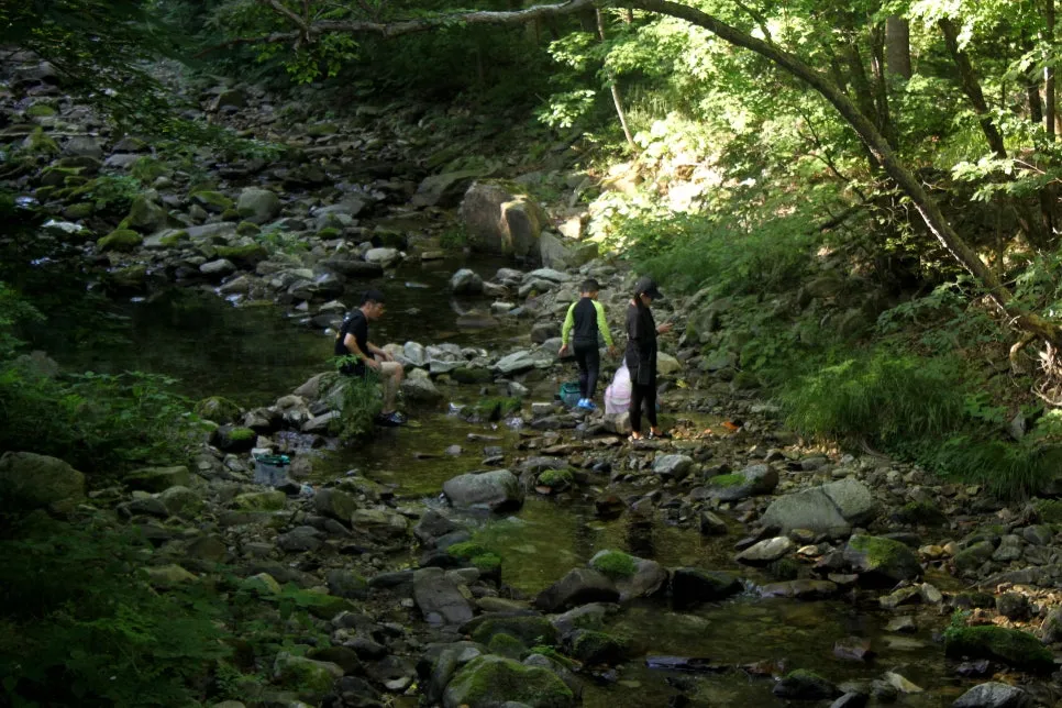 %EA%BE%B8%EB%AF%B8%EA%B8%B0%EA%BE%B8%EB%AF%B8%EA%B8%B0IMG_8631.JPG?type=w966