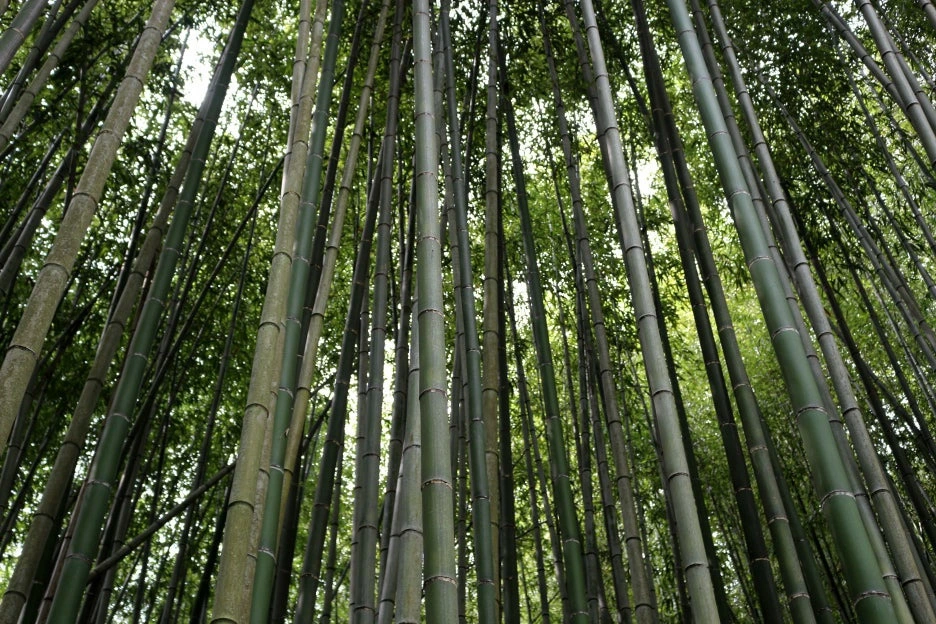 img.jpg?credential=yqXZFxpELC7KVnFOS48ylbz2pIh7yKj8&expires=1761922799&allow_ip=&allow_referer=&signature=Wl5fE815gN19Oy8WmZkuzBw4IJk%3D