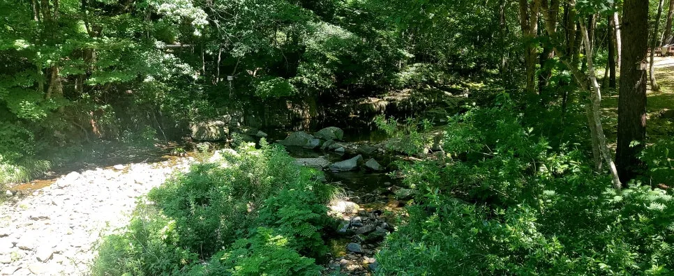 %EA%BE%B8%EB%AF%B8%EA%B8%B0%EA%BE%B8%EB%AF%B8%EA%B8%B020250712_104133.jpg?type=w966