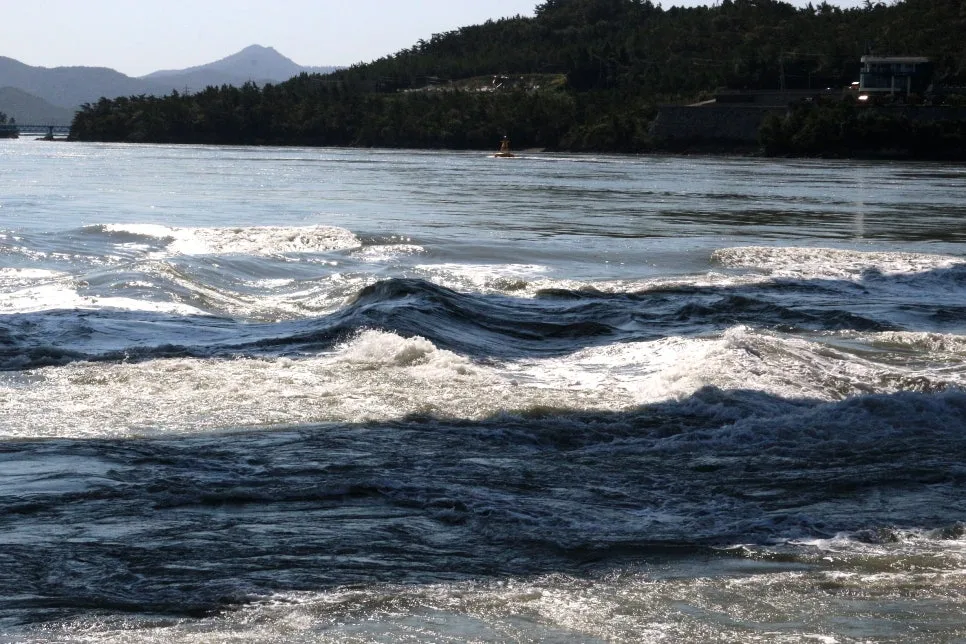 %EA%BE%B8%EB%AF%B8%EA%B8%B0IMG_6981.JPG?type=w966