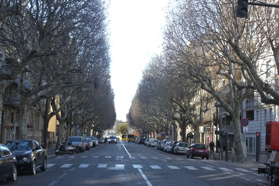 IMG_6590%EC%88%98%EC%A0%95.JPG?type=w966