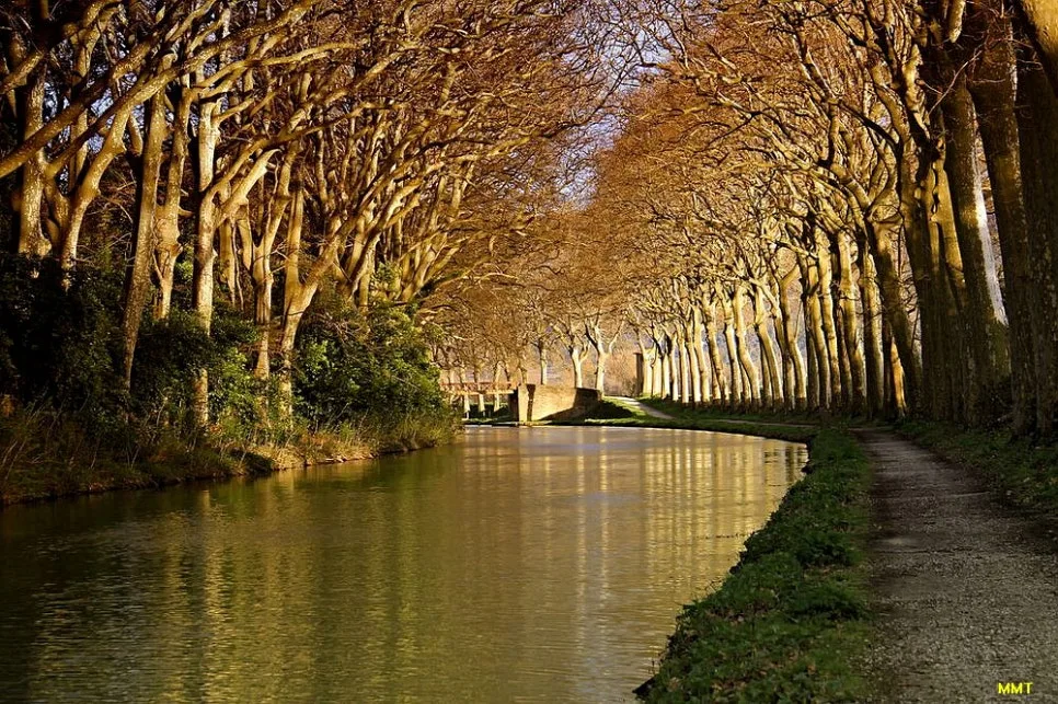 canal-du-midi-36%EC%88%98%EC%A0%95.jpg?type=w966