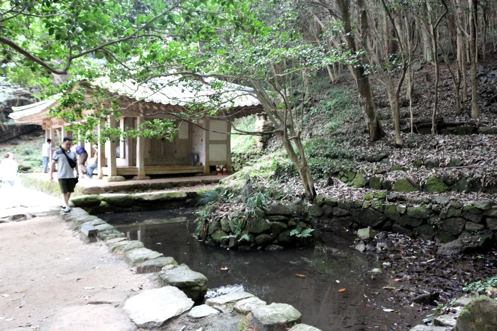 %EA%BE%B8%EB%AF%B8%EA%B8%B0IMG_6398.JPG?type=w966