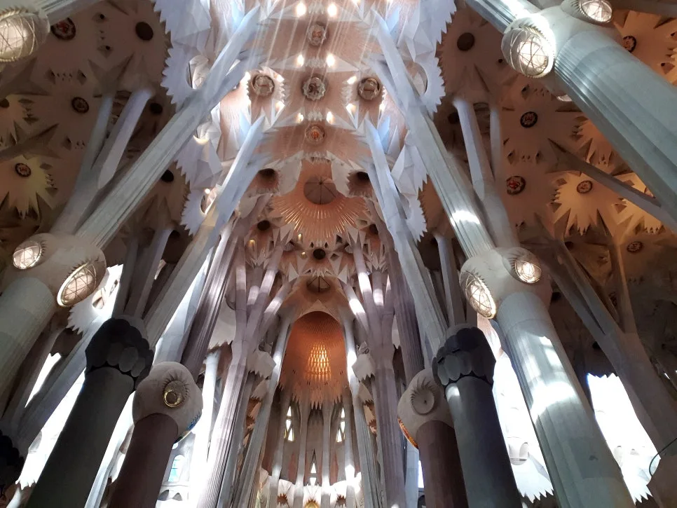 %EA%BE%B8%EB%AF%B8%EA%B8%B020230205_093303.jpg?type=w966