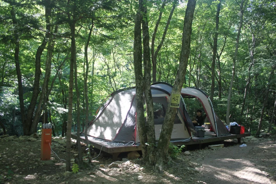 %EA%BE%B8%EB%AF%B8%EA%B8%B0%EA%BE%B8%EB%AF%B8%EA%B8%B0IMG_8628.JPG?type=w966