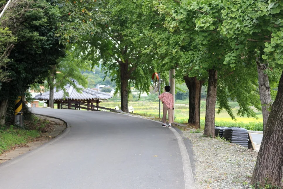 %EA%BE%B8%EB%AF%B8%EA%B8%B0IMG_6367.JPG?type=w966