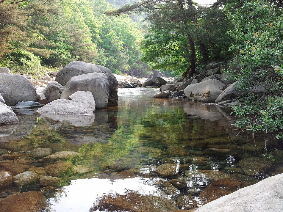 %EA%BE%B8%EB%AF%B8%EA%B8%B0%EA%BE%B8%EB%AF%B8%EA%B8%B02237BA39537BE28116.jpg?type=w966