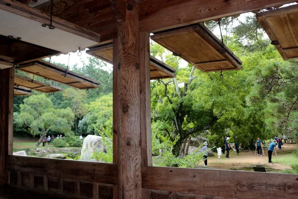 %EA%BE%B8%EB%AF%B8%EA%B8%B0%EA%BE%B8%EB%AF%B8%EA%B8%B0IMG_6592.JPG?type=w966