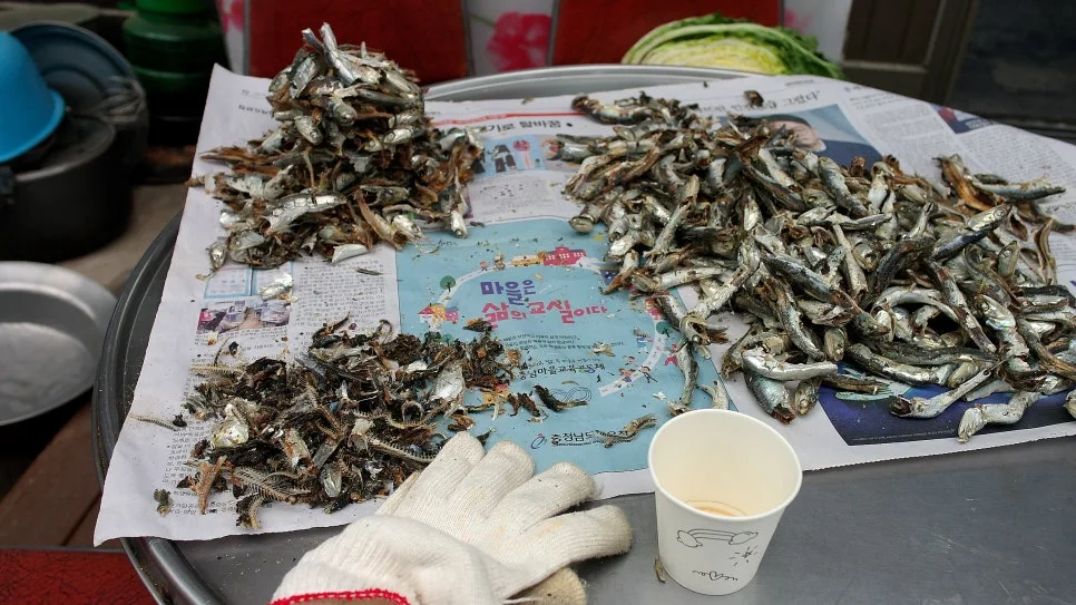 %EA%BE%B8%EB%AF%B8%EA%B8%B0%EA%BE%B8%EB%AF%B8%EA%B8%B0SAM_0126.JPG?type=w966