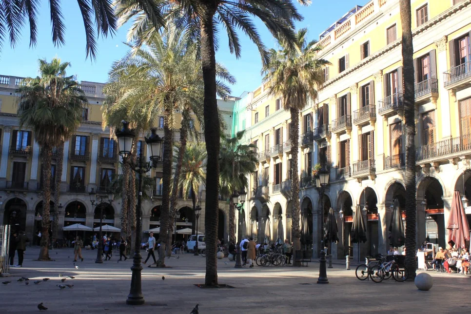 %EA%BE%B8%EB%AF%B8%EA%B8%B0IMG_7062.JPG?type=w966