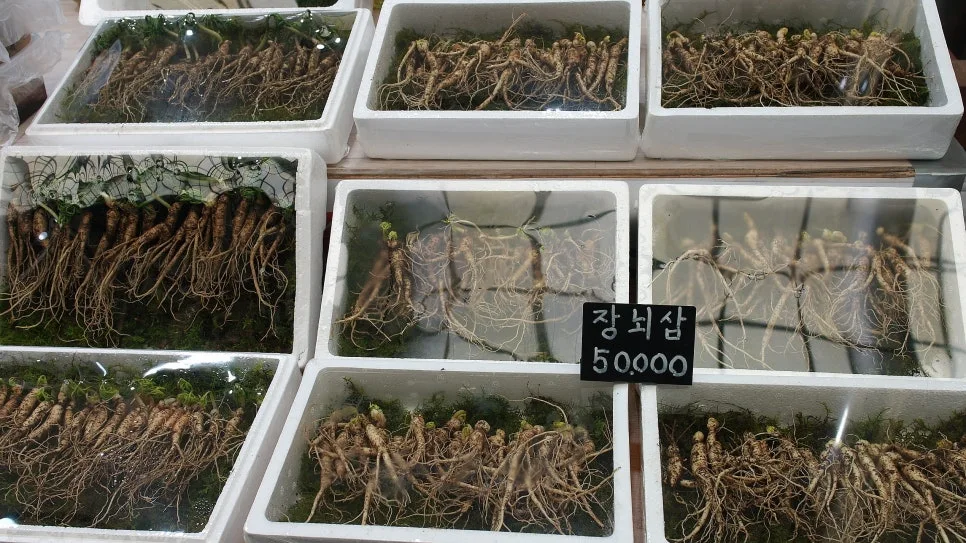 %EA%BE%B8%EB%AF%B8%EA%B8%B0%EA%BE%B8%EB%AF%B8%EA%B8%B0SAM_0164.JPG?type=w966