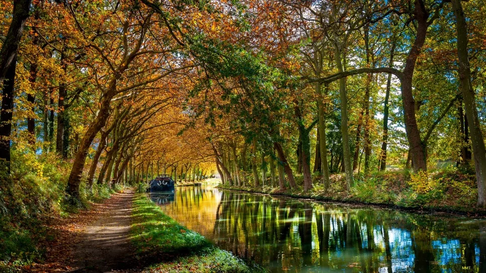 shutterstock_771928639+(1)-min%EC%88%98%EC%A0%95.jpg?type=w966