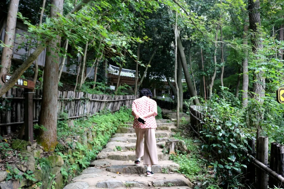 %EA%BE%B8%EB%AF%B8%EA%B8%B0IMG_6379.JPG?type=w966