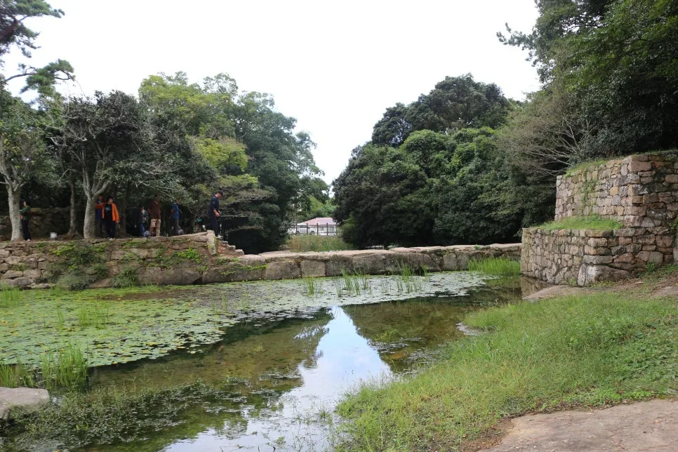 %EA%BE%B8%EB%AF%B8%EA%B8%B0%EA%BE%B8%EB%AF%B8%EA%B8%B0IMG_6621.JPG?type=w966