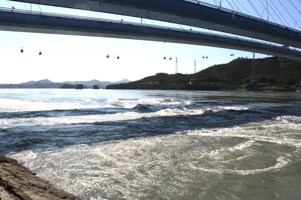 %EA%BE%B8%EB%AF%B8%EA%B8%B0IMG_6980.JPG?type=w966