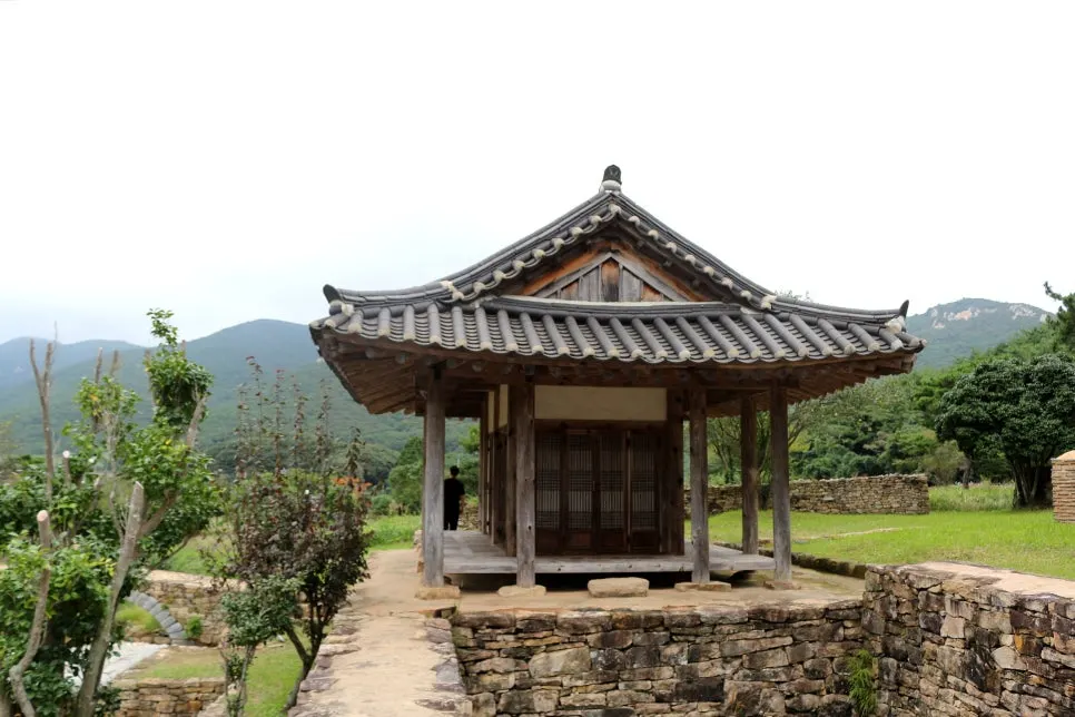 %EA%BE%B8%EB%AF%B8%EA%B8%B0%EA%BE%B8%EB%AF%B8%EA%B8%B0IMG_6644.JPG?type=w966