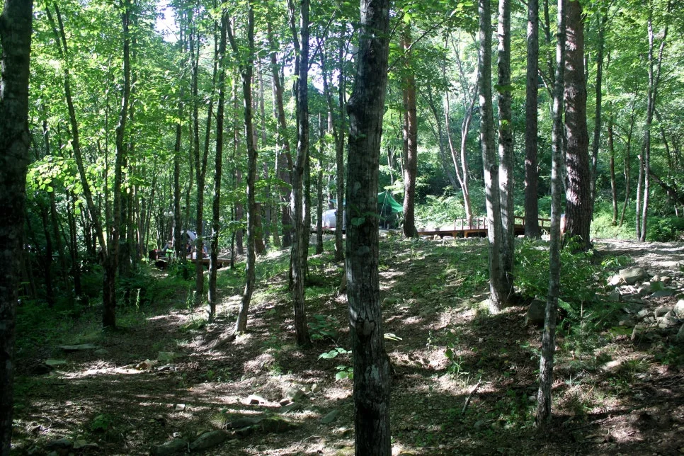 %EA%BE%B8%EB%AF%B8%EA%B8%B0%EA%BE%B8%EB%AF%B8%EA%B8%B0IMG_8620.JPG?type=w966