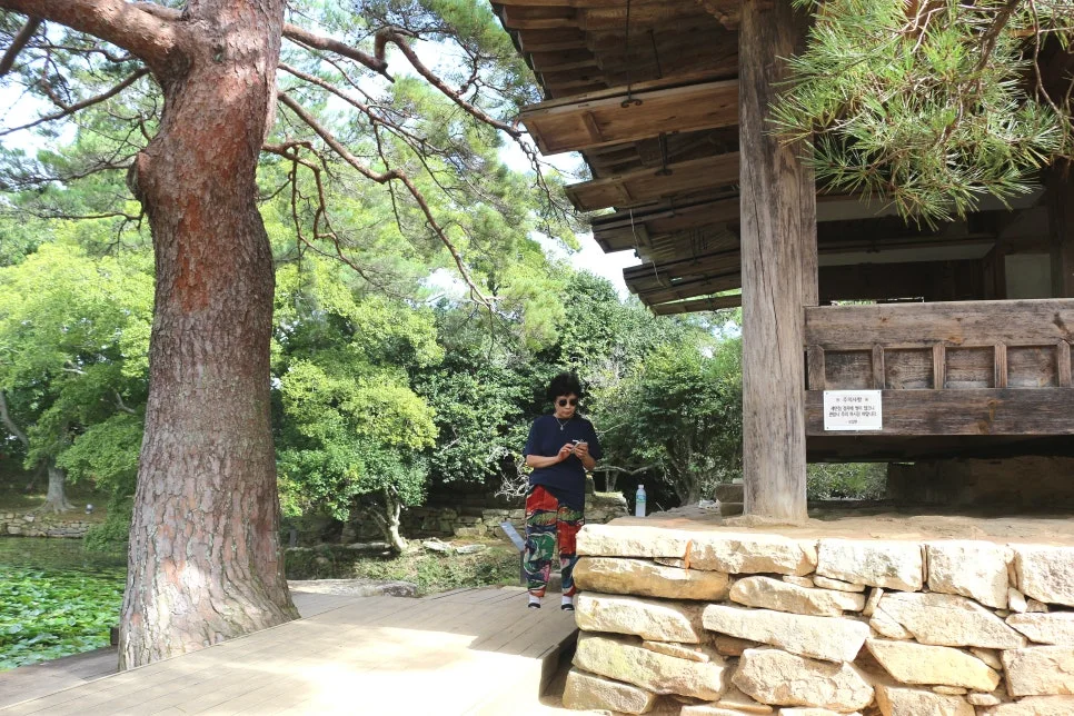 %EA%BE%B8%EB%AF%B8%EA%B8%B0%EA%BE%B8%EB%AF%B8%EA%B8%B0IMG_6584.JPG?type=w966