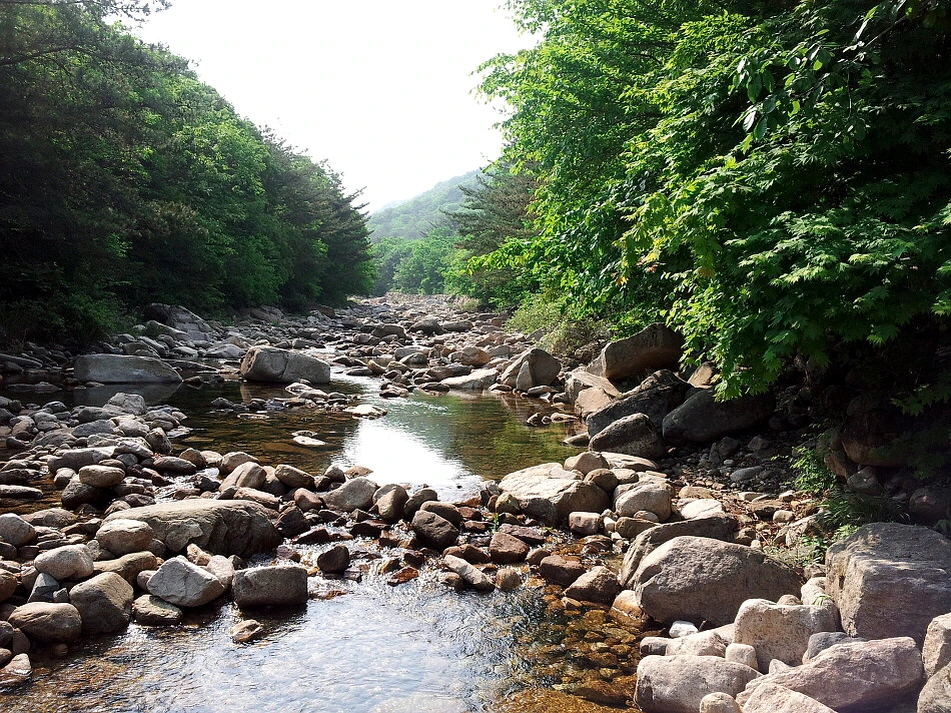 %EA%BE%B8%EB%AF%B8%EA%B8%B0%EA%BE%B8%EB%AF%B8%EA%B8%B02505E841537BD8642D.jpg?type=w966