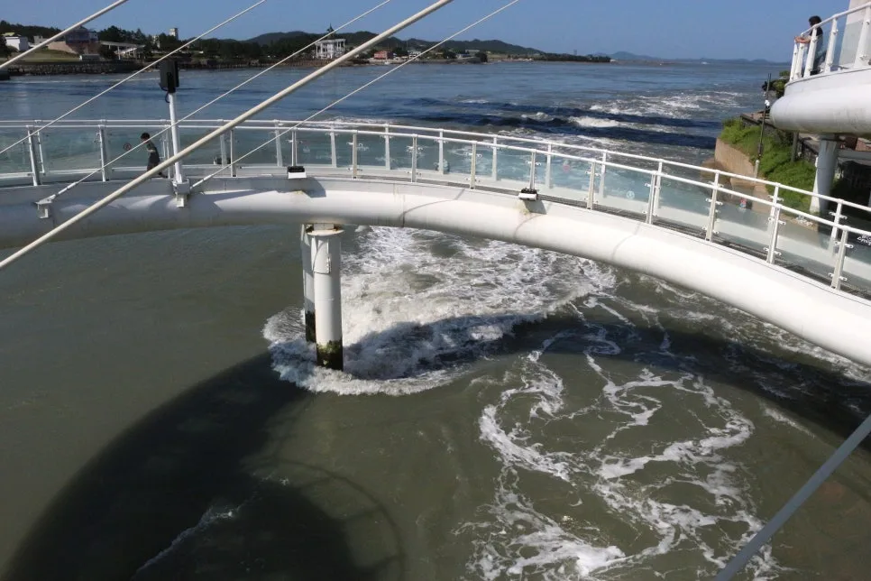 %EA%BE%B8%EB%AF%B8%EA%B8%B0IMG_6966.JPG?type=w966