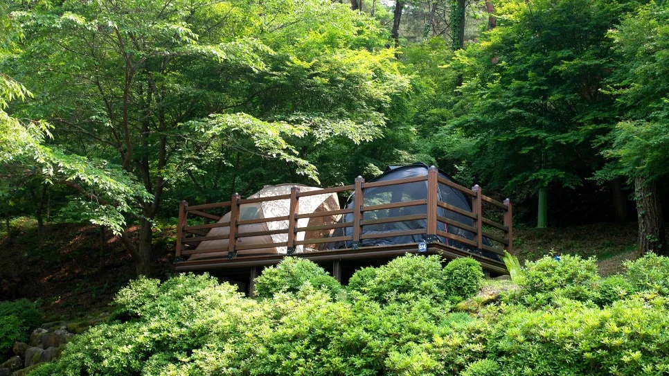 %EA%BE%B8%EB%AF%B8%EA%B8%B0%EA%BE%B8%EB%AF%B8%EA%B8%B0SAM_0027.JPG?type=w966