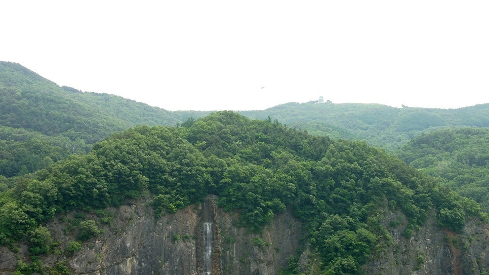 ef35a08a045d1e26a54778afd580b0395a486bdc.jpg?type=w966