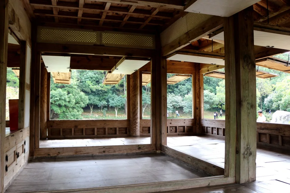 %EA%BE%B8%EB%AF%B8%EA%B8%B0%EA%BE%B8%EB%AF%B8%EA%B8%B0IMG_6589.JPG?type=w966