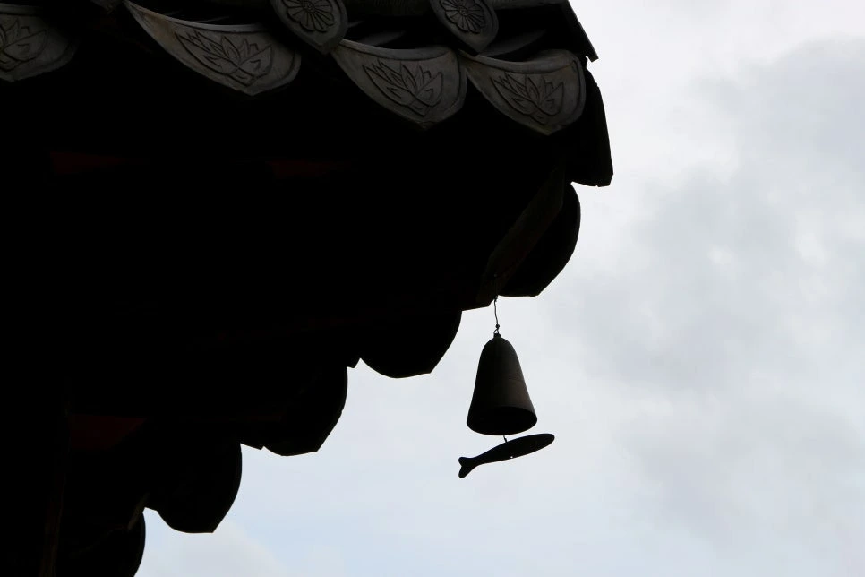 77102dce419bdddcae9c7a2c3bf91ce7fbb87143