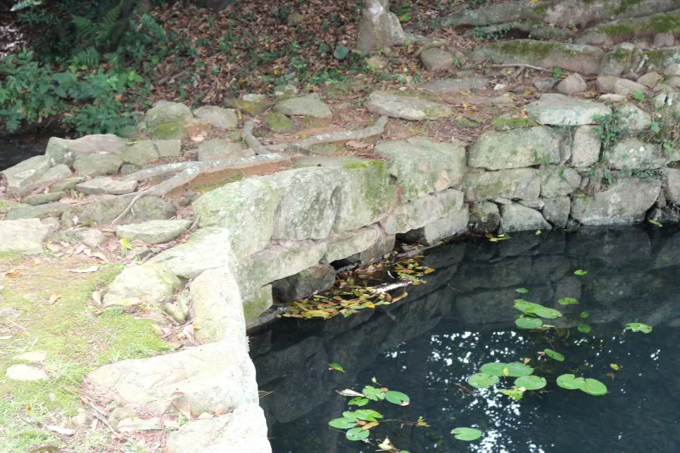 %EA%BE%B8%EB%AF%B8%EA%B8%B0%EA%BE%B8%EB%AF%B8%EA%B8%B0IMG_6609.JPG?type=w966