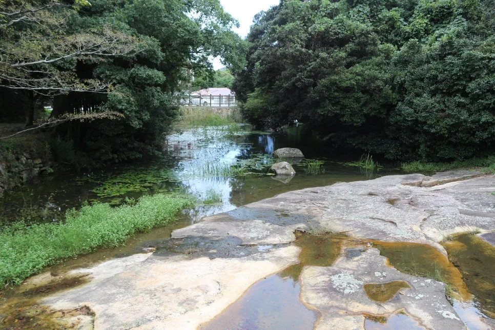 %EA%BE%B8%EB%AF%B8%EA%B8%B0%EA%BE%B8%EB%AF%B8%EA%B8%B0IMG_6614.JPG?type=w966