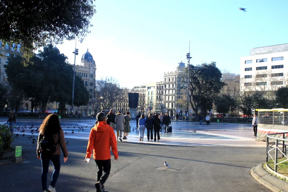 %EA%BE%B8%EB%AF%B8%EA%B8%B0IMG_6845.JPG?type=w966