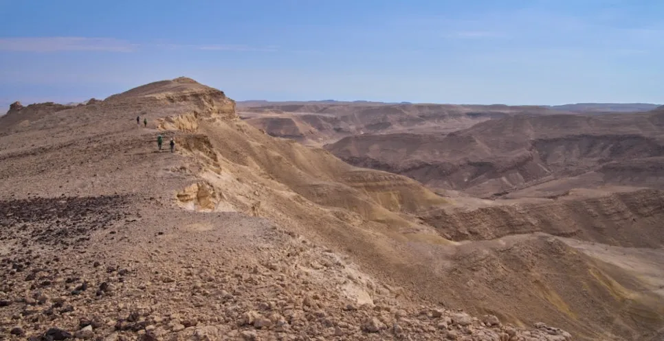 %EA%BE%B8%EB%AF%B8%EA%B8%B0shutterstock_2248060479.jpg?type=w966