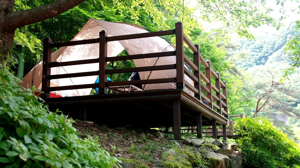 %EA%BE%B8%EB%AF%B8%EA%B8%B0%EA%BE%B8%EB%AF%B8%EA%B8%B0SAM_0025.JPG?type=w966