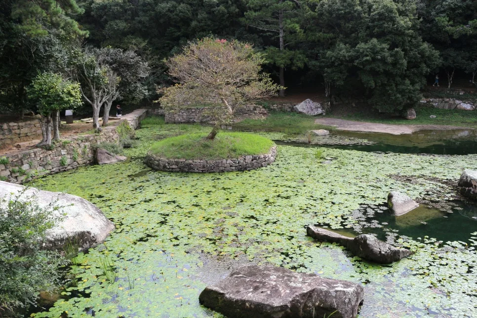 %EA%BE%B8%EB%AF%B8%EA%B8%B0%EA%BE%B8%EB%AF%B8%EA%B8%B0IMG_6595.JPG?type=w966