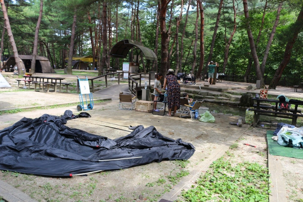 img.jpg?credential=yqXZFxpELC7KVnFOS48ylbz2pIh7yKj8&expires=1756652399&allow_ip=&allow_referer=&signature=qRk45Z2pwQ2t3%2B6icbhHJPUgvUo%3D