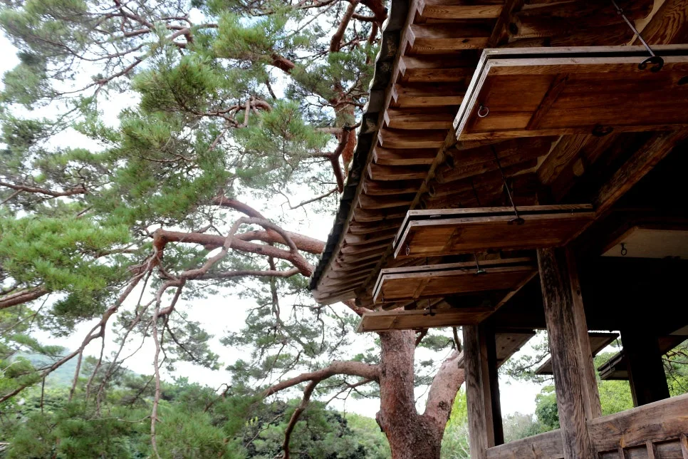 %EA%BE%B8%EB%AF%B8%EA%B8%B0%EA%BE%B8%EB%AF%B8%EA%B8%B0IMG_6601.JPG?type=w966