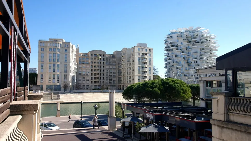 SAM_0420%EC%88%98%EC%A0%95.JPG?type=w966