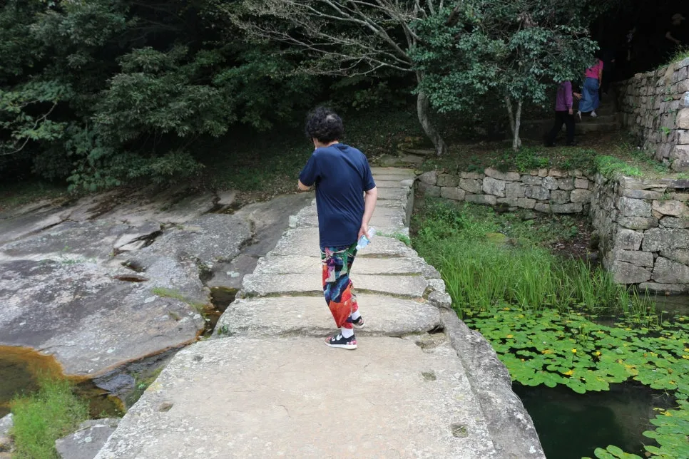 %EA%BE%B8%EB%AF%B8%EA%B8%B0%EA%BE%B8%EB%AF%B8%EA%B8%B0IMG_6613.JPG?type=w966