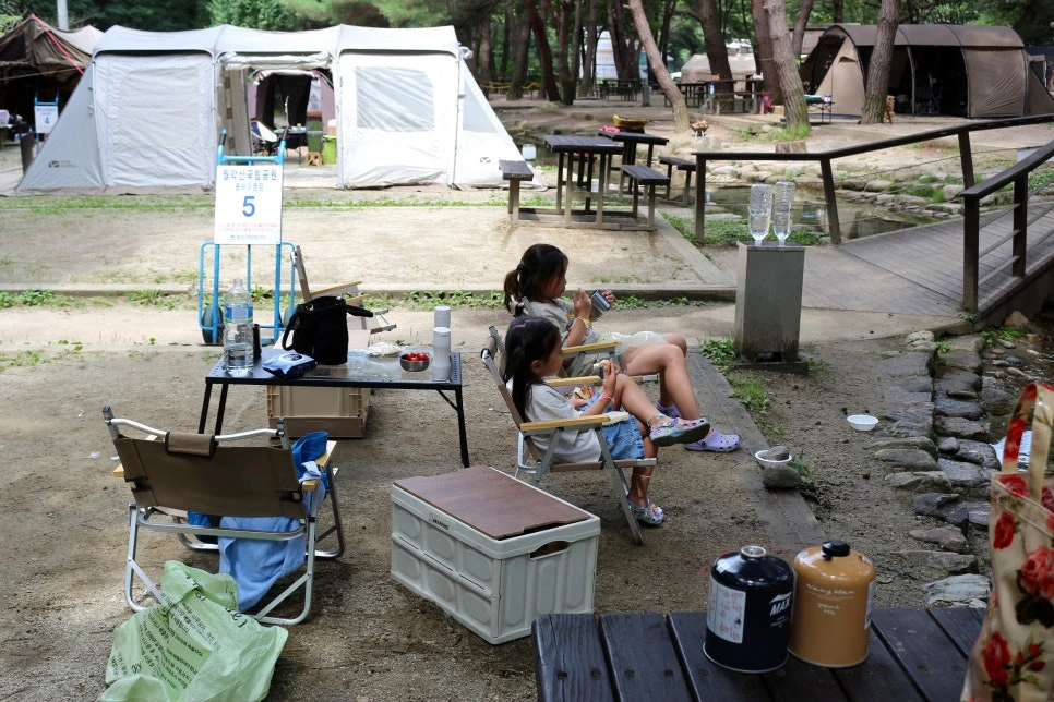 img.jpg?credential=yqXZFxpELC7KVnFOS48ylbz2pIh7yKj8&expires=1756652399&allow_ip=&allow_referer=&signature=V2fyqz1%2FPS3Outxkg6BAfU%2BWLLY%3D