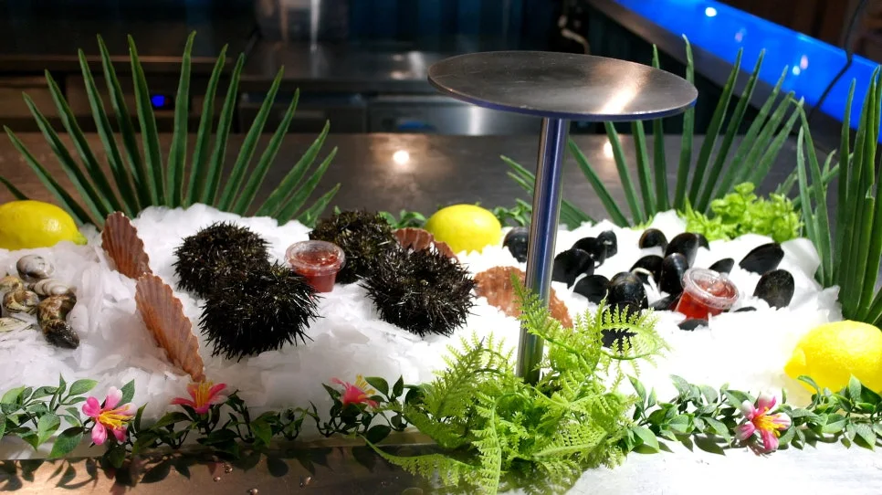 SAM_0357%EC%88%98%EC%A0%95.JPG?type=w966