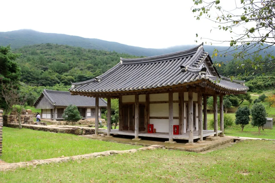 %EA%BE%B8%EB%AF%B8%EA%B8%B0%EA%BE%B8%EB%AF%B8%EA%B8%B0IMG_6647.JPG?type=w966