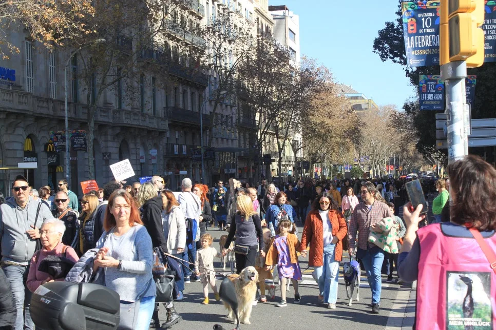 %EA%BE%B8%EB%AF%B8%EA%B8%B0IMG_7249.JPG?type=w966